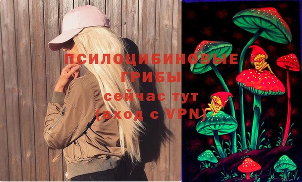 соль ск Алзамай