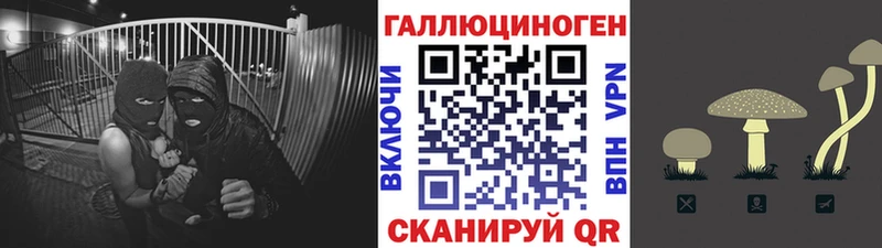 где продают наркотики  Карабаново  Псилоцибиновые грибы мицелий 